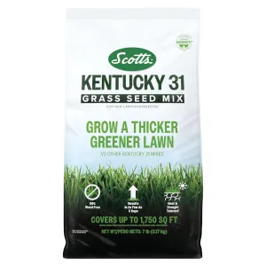 Scotts Kentucky 31 Grass Seed Mix 7-lbs. for $14