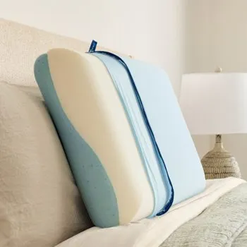 Sealy Posturepedic Dual Support Memory Foam Pillow for $29.99